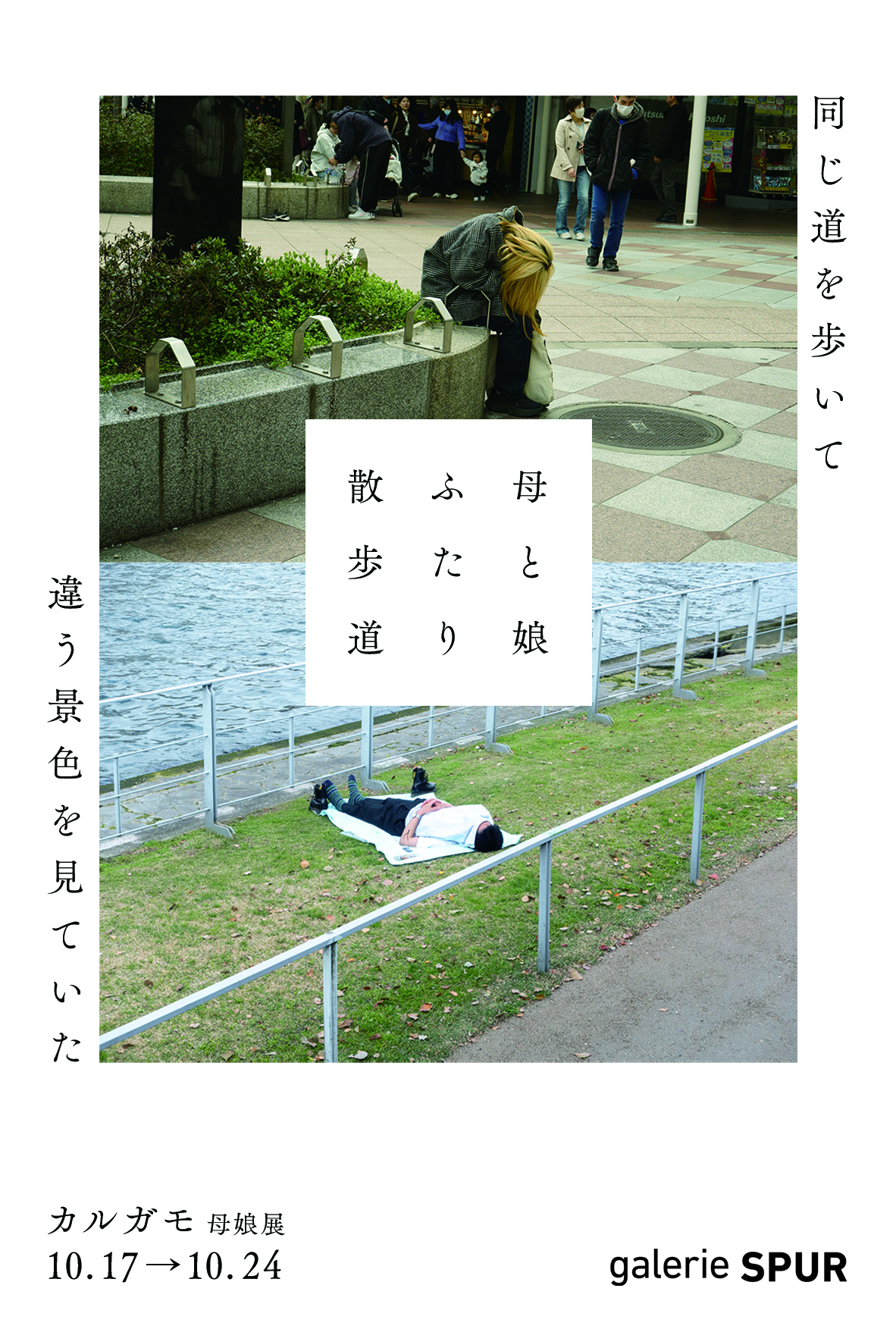 カルガモ母娘展『同じ道を歩いて、違う景色を見ていた ～ 母と娘 ふたり散歩道 ～』